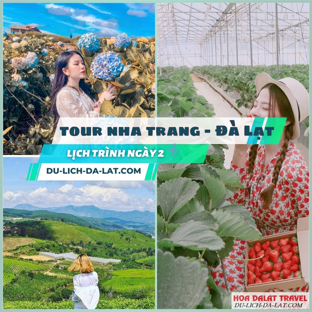 Lịch trình ngày 2 tour Nha Trang Đà Lạt 4N3Đ