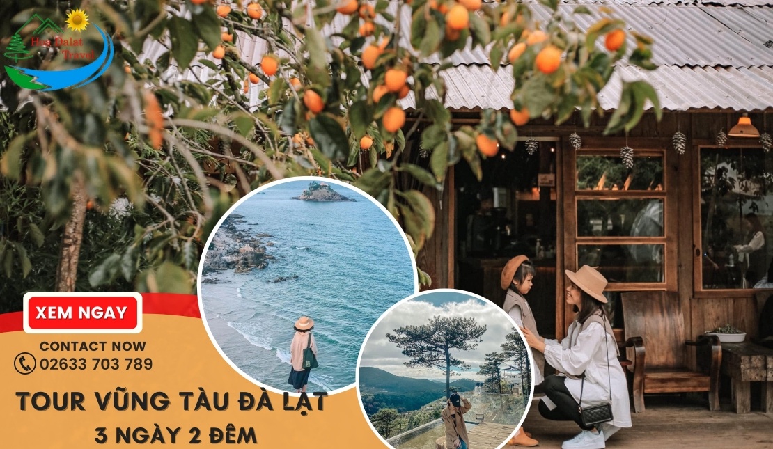 Tour Du Lịch Đà Lạt Vũng Tàu Hành Trình Khám Phá Hai Điểm Đẹp