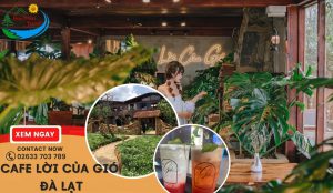 Cafe Lời Của Gió Đà Lạt