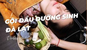 Gội đầu dưỡng sinh Đà Lạt