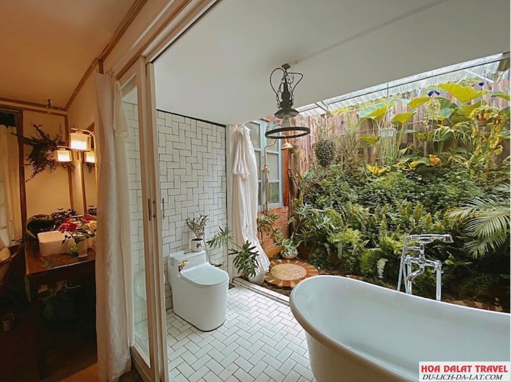 Thung Lũng Sunview Homestay Với Vườn Cúc Hoạ Mi