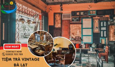 Tiệm trà Vintage Đà Lạt