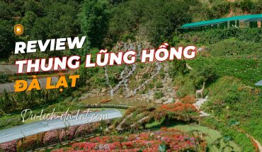 Thung Lũng Hồng Đà Lạt