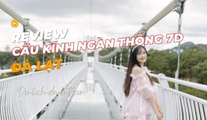 Cầu kính ngàn thông 7D Đà Lạt