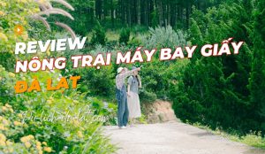 Nông trại Máy bay Giấy Đà Lạt