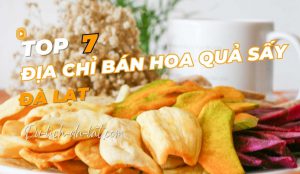 Hoa quả sấy Đà Lạt