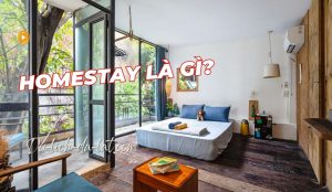 Homestay là gì