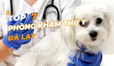 Phòng khám thú y Đà Lạt