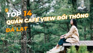 Quán cafe Đà Lạt view đồi thông