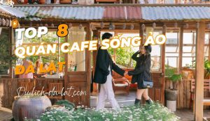 Quán cafe sống ảo Đà Lạt