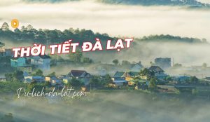 Thời tiết Đà Lạt