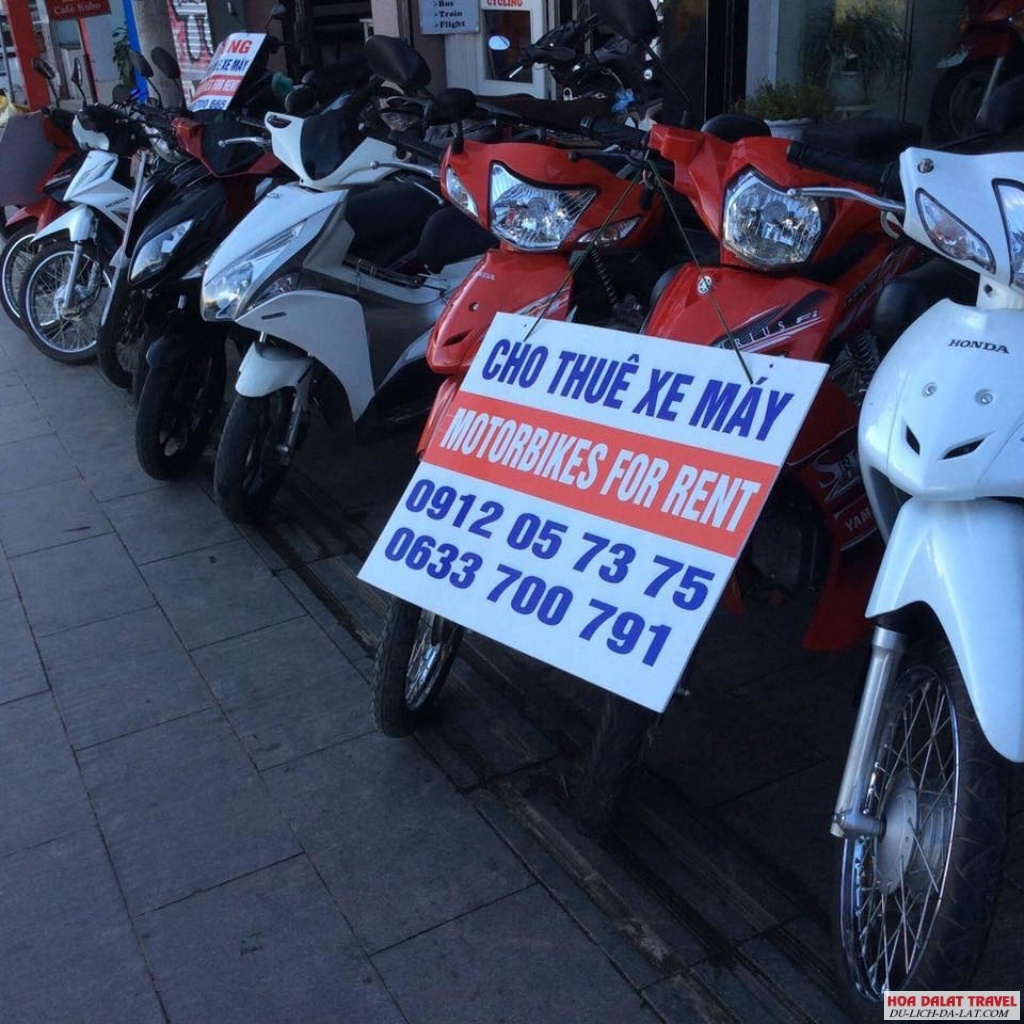 Thuê xe máy Thanh Hương