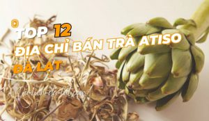 Trà atiso Đà Lạt