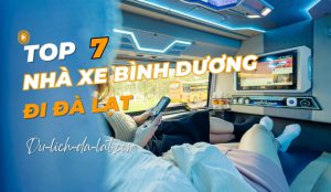 Xe Bình Dương đi Đà Lạt