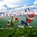 Đà Lạt có gì chơi