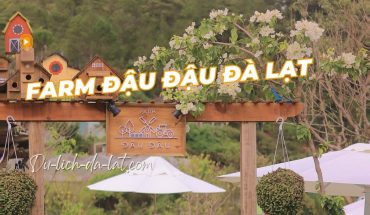 Farm Đậu Đậu Đà Lạt