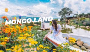 Mongo Land Đà Lạt