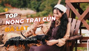 Nông trại cún Đà Lạt