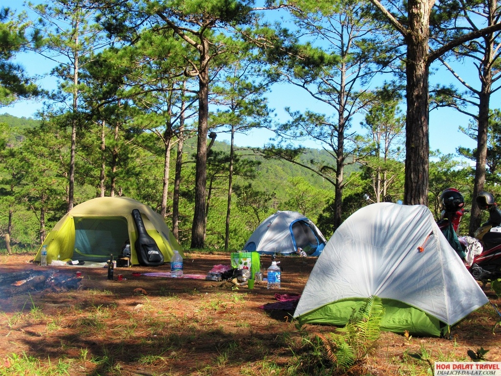 PineForest Camping Dalat