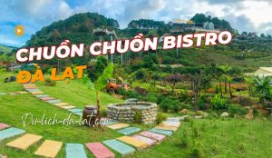 Chuồn Chuồn Bistro Đà Lạt