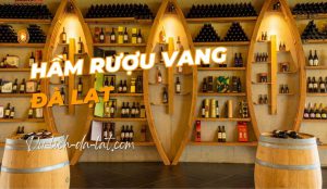 Hầm rượu vang Đà Lạt