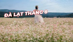 Đà Lạt tháng 8