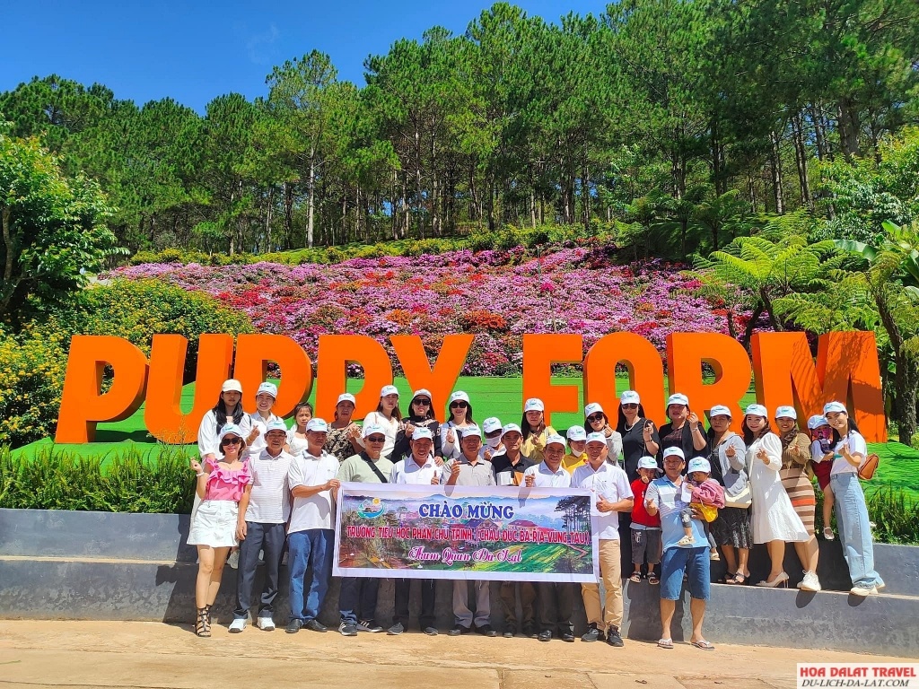 Trường tiểu học Phan Chu Trinh tham quan, chụp hình tại nông trại cún Puppy Farm