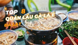 Lẩu Gà Lá É Đà Lạt