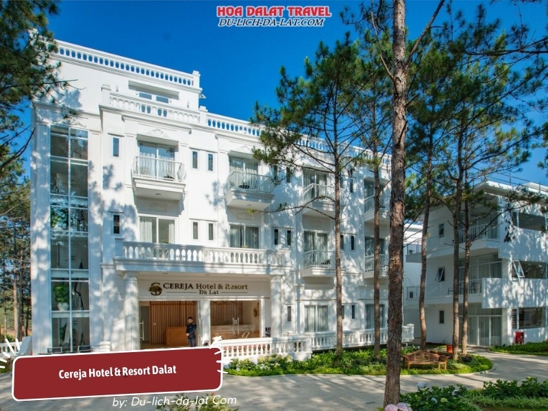 Cereja Hotel & Resort tọa lạc tại khu vực đồi thông Đà Lạt