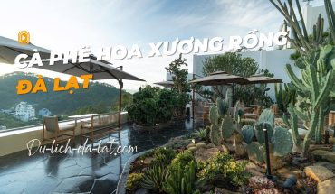 Cafe Hoa Xương Rồng Đà Lạt