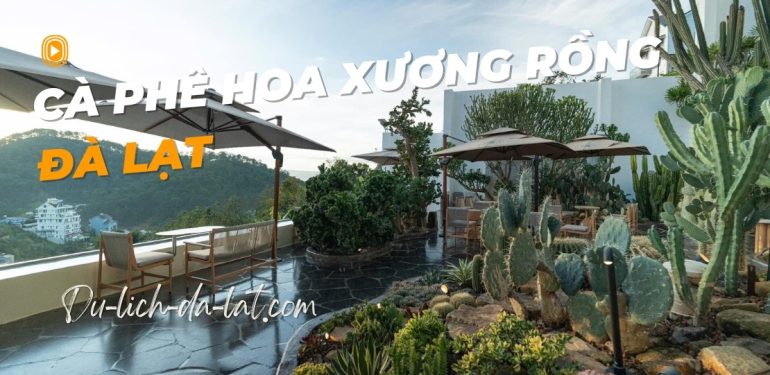 Cafe Hoa Xương Rồng Đà Lạt