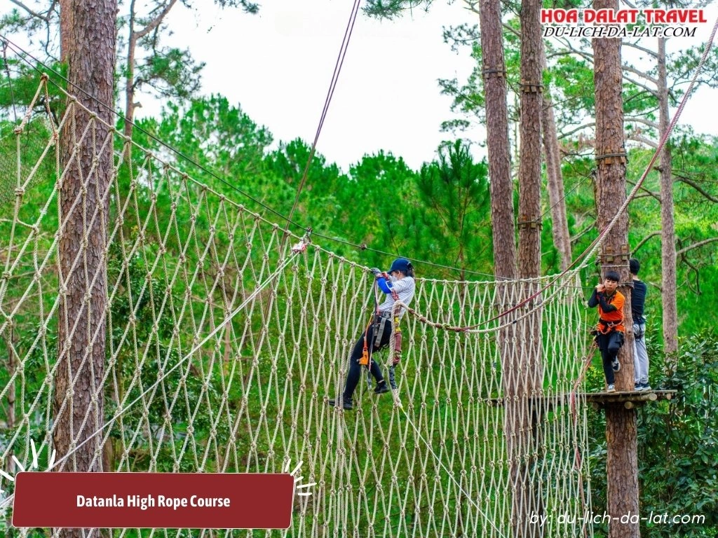 Thử thách vượt chướng ngại vật giữa rừng thông ở Datanla High Rope Course