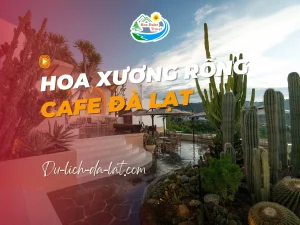 Cà phê Hoa Xương Rồng Đà Lạt