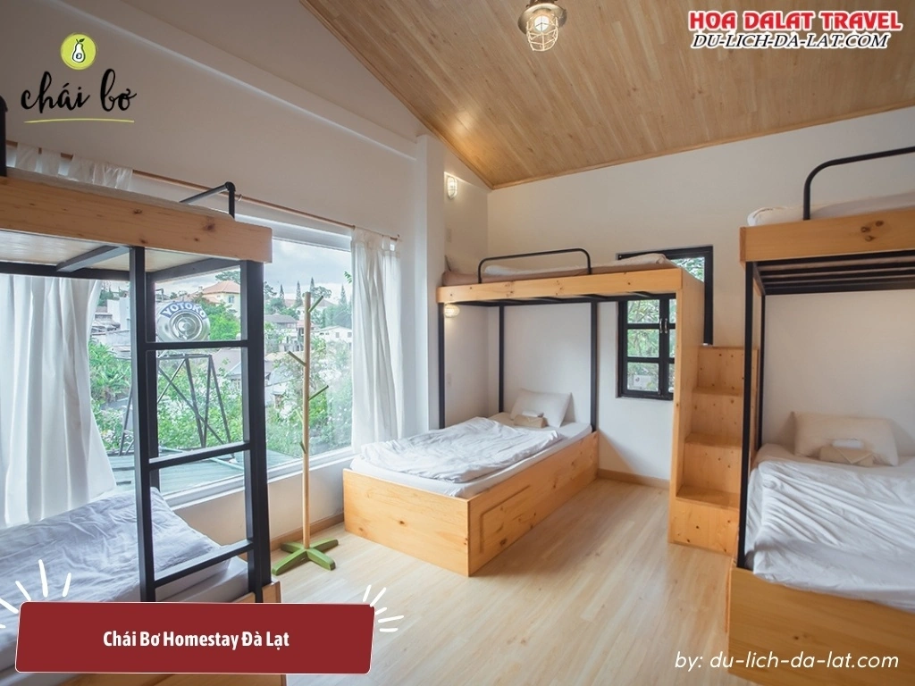 Phòng nghỉ Chái Bơ Homestay được chăm chút kỹ lưỡng, mang lại cảm giác thoải mái cho du khách