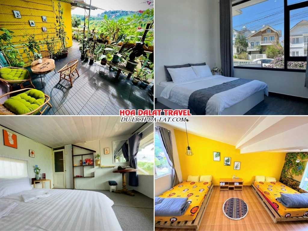 Những homestay Đà Lạt giá rẻ chỉ từ 300k