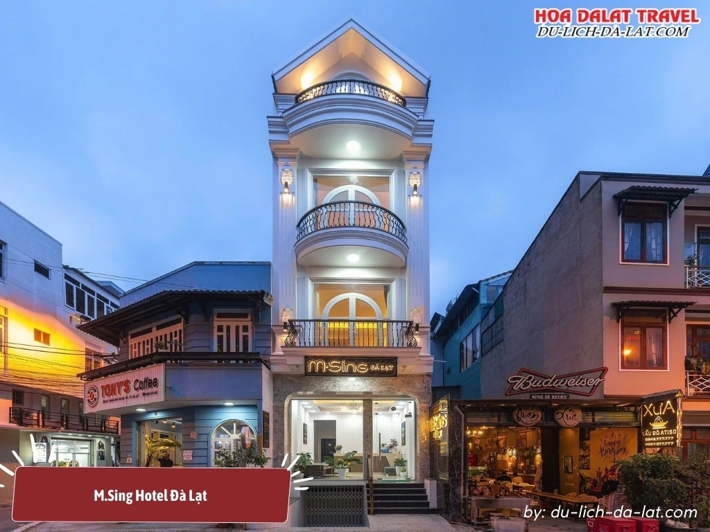 M.Sing Hotel Đà Lạt là khách sạn 2 sao hiện đại