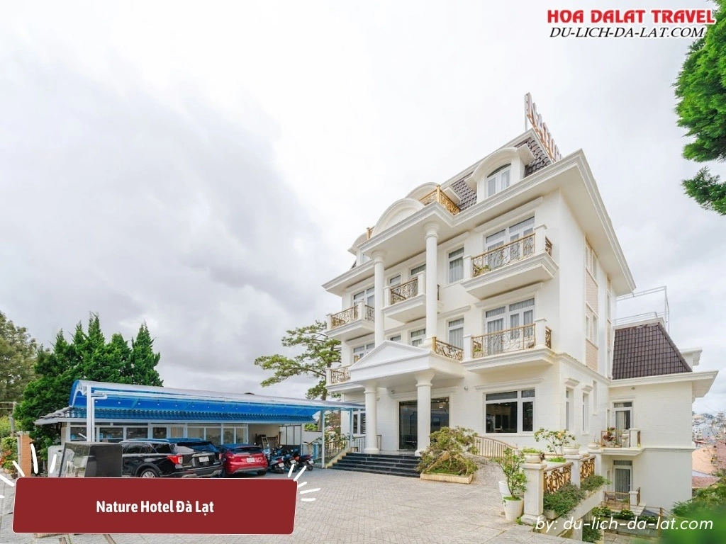 Nature Hotel Đà Lạt với vị trí thuận tiện và dịch vụ chất lượng