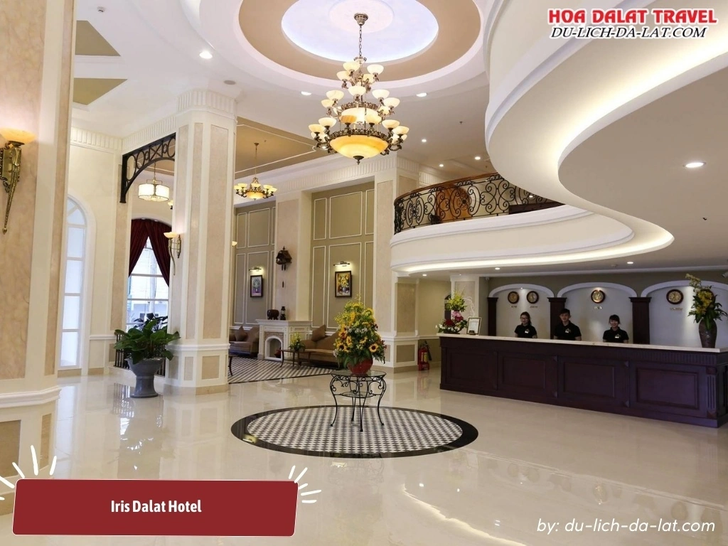 Iris Dalat Hotel có dịch vụ lễ tân 24 giờ, dịch vụ phòng miễn phí