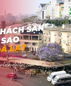 15 khách sạn 3 sao Đà Lạt