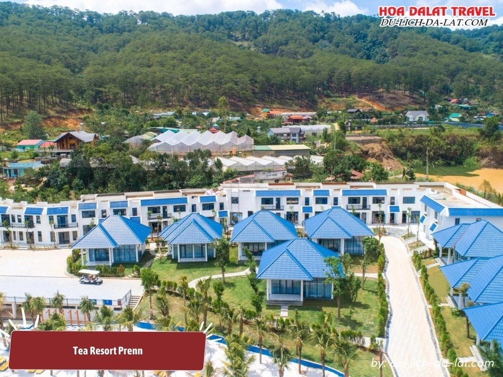 Tea Resort Prenn được thiết kế sang trọng, tinh tế, với tông màu trắng-xanh hiện đại và gần gũi với thiên nhiên