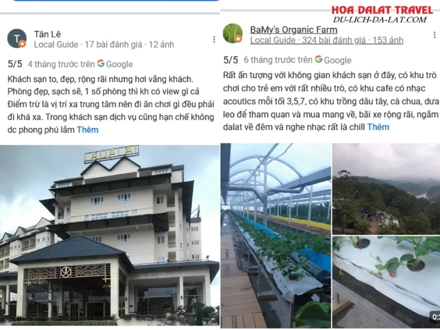 Đánh giá của khách hàng về khách sạn Ladalat Dalat trên Google Maps