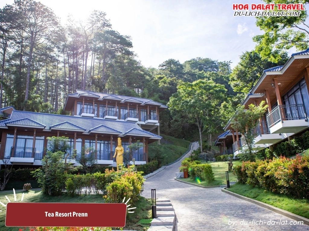 Tea Resort Prenn là khu nghỉ dưỡng 5 sao dưới chân đèo Prenn