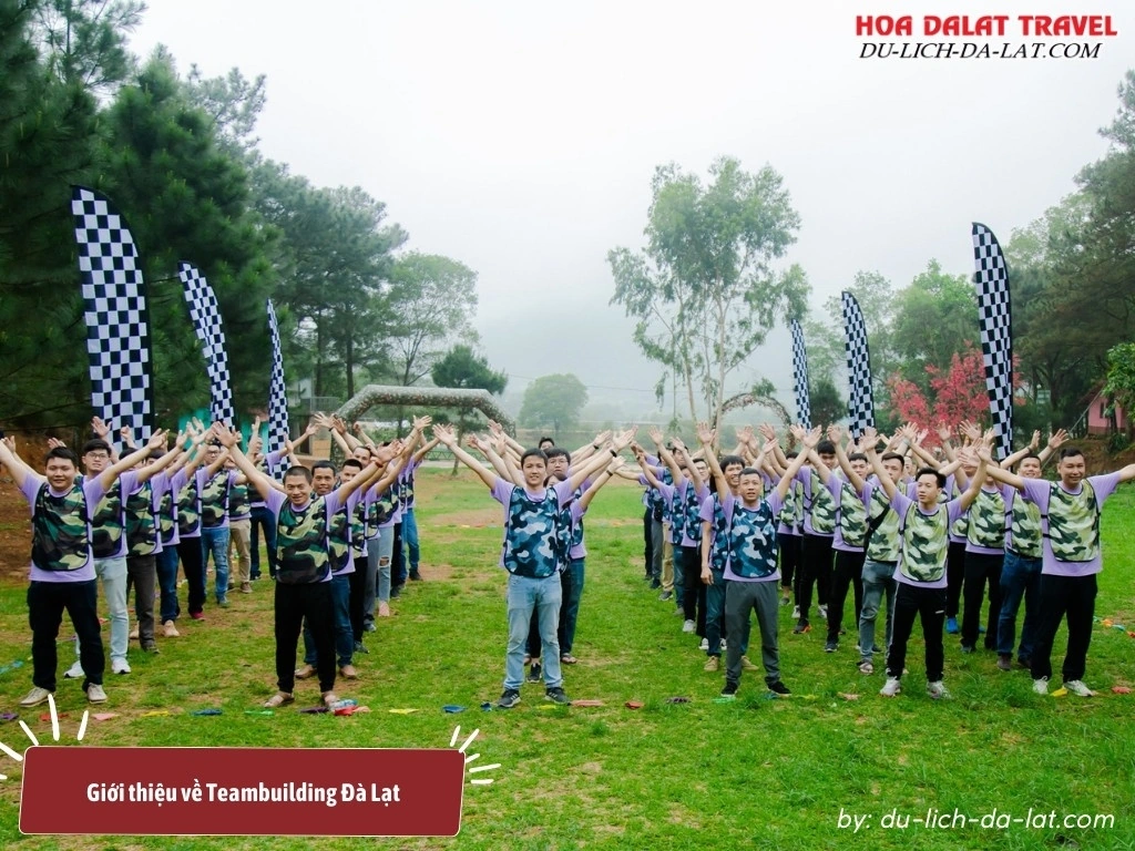 Teambuilding Đà Lạt là một hoạt động phổ biến dành cho các nhóm, doanh nghiệp, hoặc tổ chức