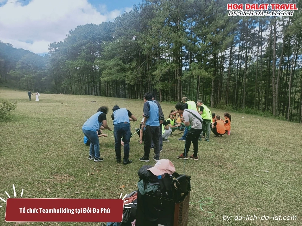 Team Building tại Đồi Đa Phú là lựa chọn lý tưởng với khung cảnh hoang sơ, không khí trong lành và không gian rộng rãi