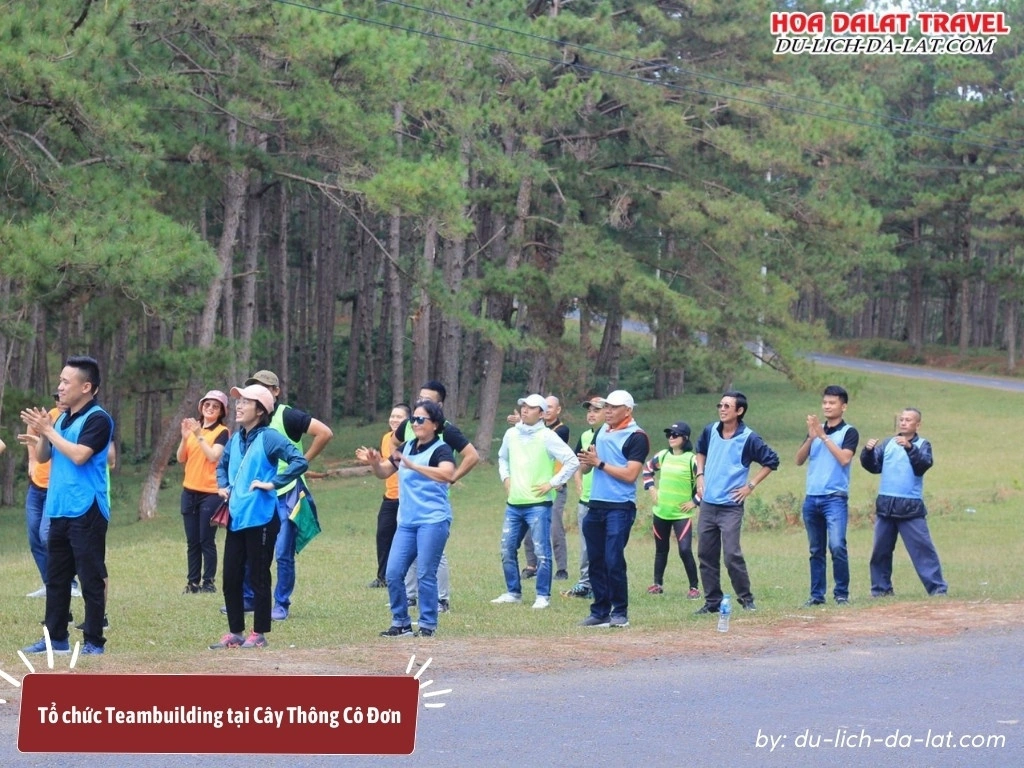 Không gian mở tại Cây Thông Cô Đơn phù hợp để tổ chức các trò chơi ngoài trời và gắn kết đội nhóm