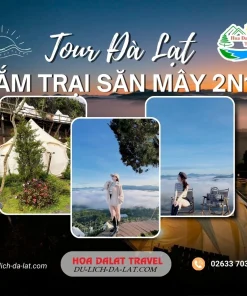 Tour cắm trại săn mây Đà Lạt 2 ngày 1 đêm