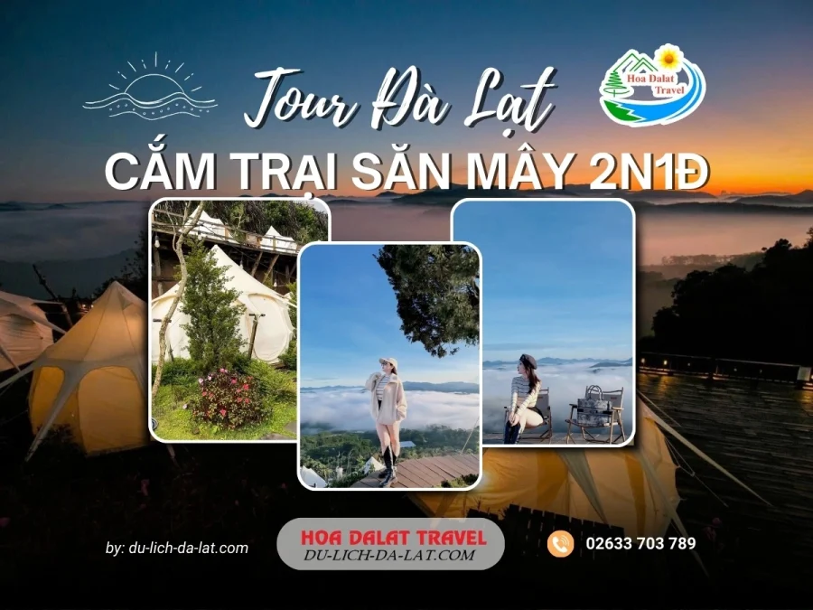 Tour cắm trại săn mây Đà Lạt 2 ngày 1 đêm