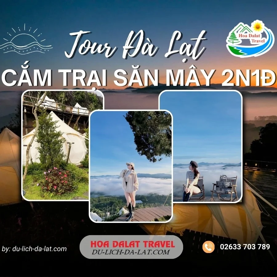 Tour cắm trại săn mây Đà Lạt 2 ngày 1 đêm