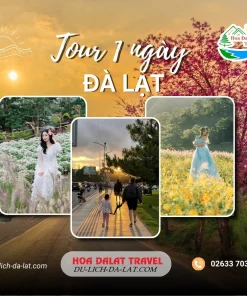 Tour Đà Lạt 1 ngày