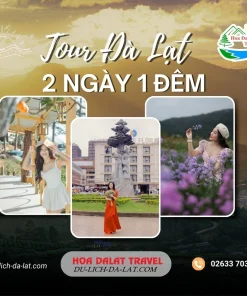 Tour Đà Lạt 2 Ngày 1 Đêm